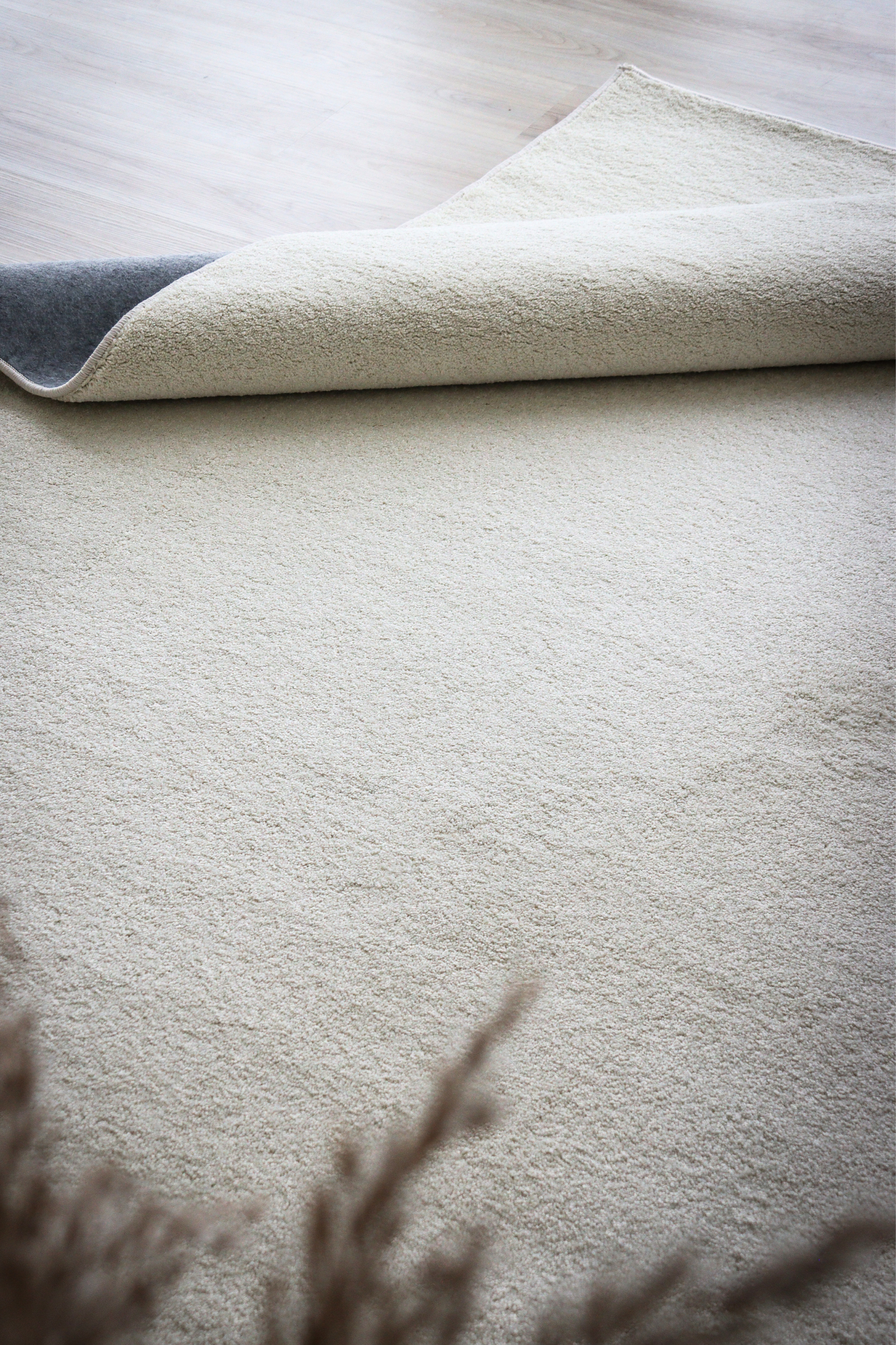 Alpine Cream Carpet | Timeless Essentials Series