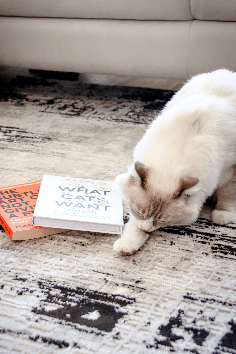 Black Weave Luxury Carpet | Carlton Modern Series - The Carpetier™