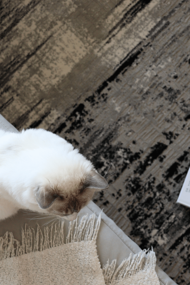 Black Weave Luxury Carpet | Carlton Modern Series - The Carpetier™