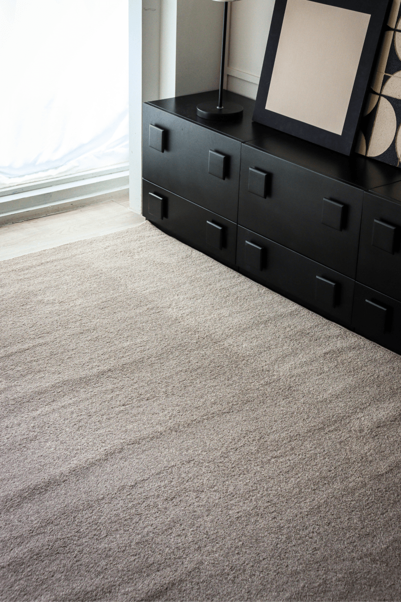 Champagne Taupe Carpet | Timeless Essentials Series - The Carpetier™