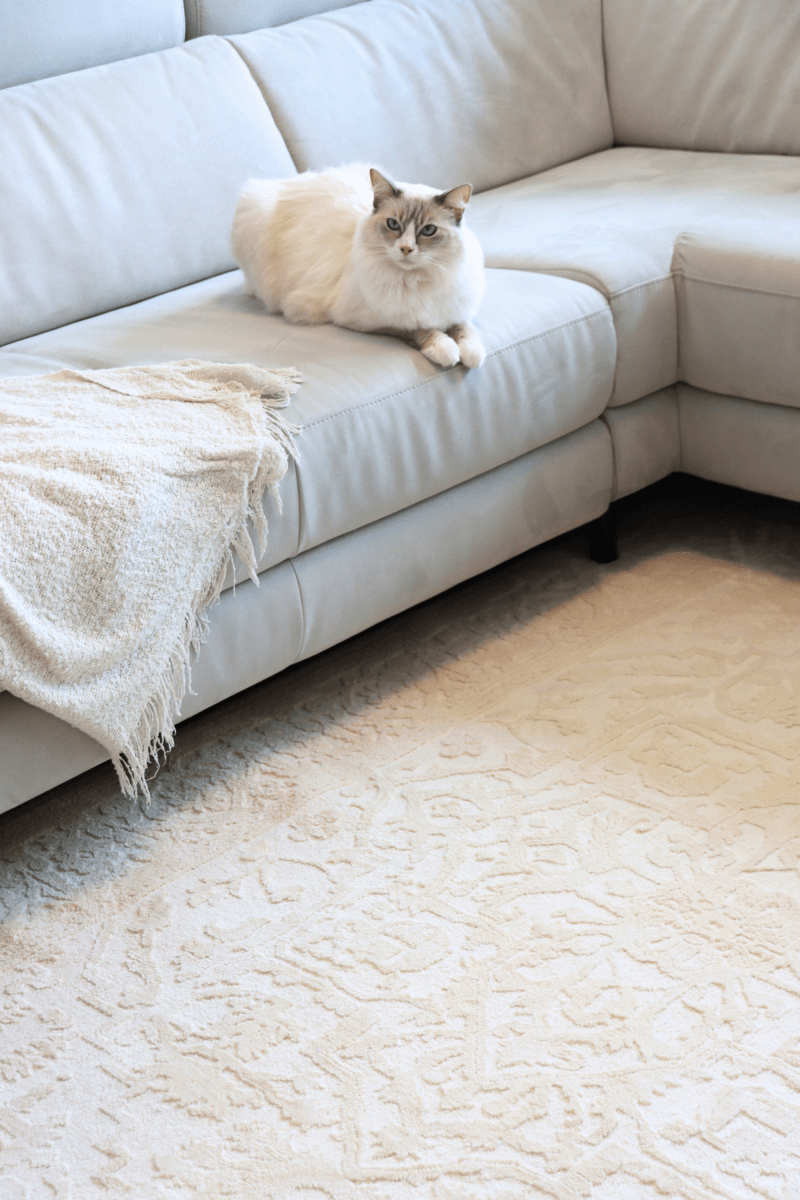 Cream Imperial Carpet | Wilton Dyed Series - The Carpetier™