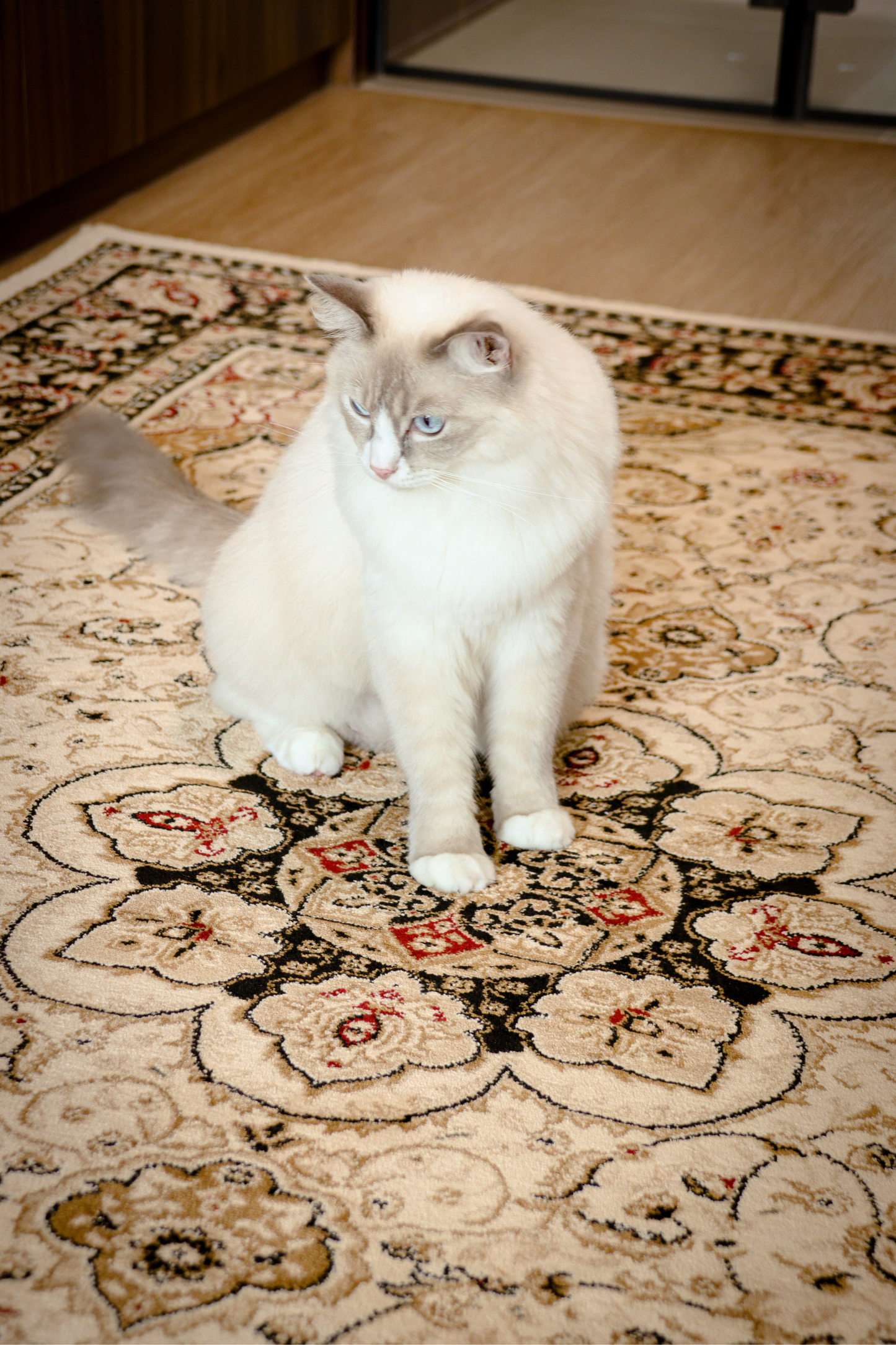 Royal Sultan Carpet | Al Safa | Royal Persian Series