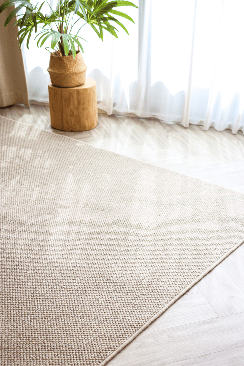 Taupe Loop Pile Carpet | Earth Series - The Carpetier™