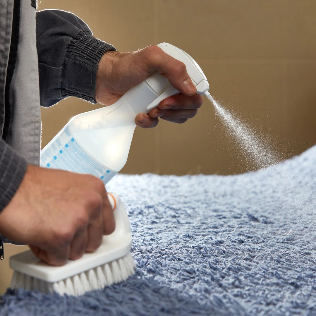 Carpet Stain Removal Hacks Every Homeowner in Singapore Should Know - The Carpetier™