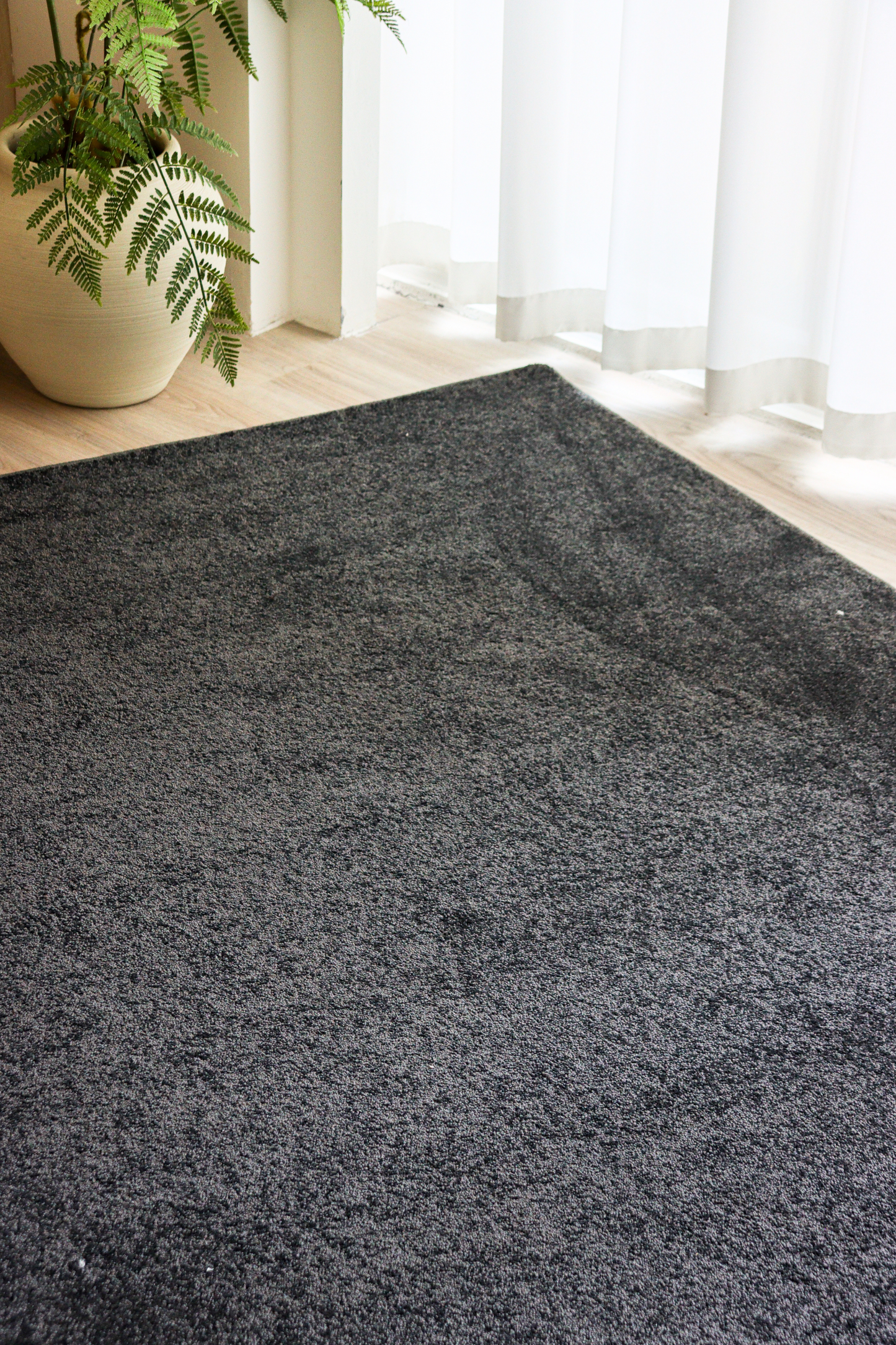Deep Grey Carpet | Timeless Essentials Series