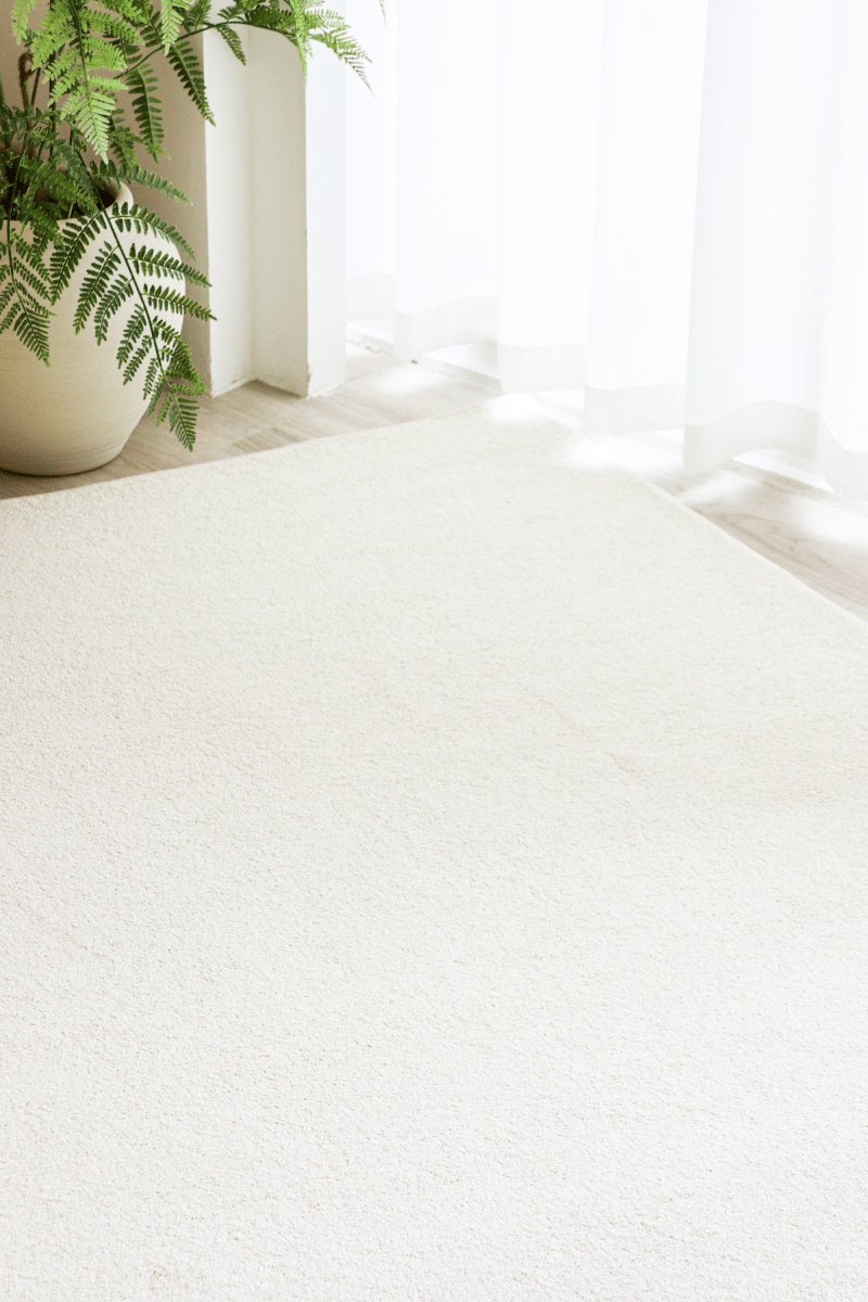 Alpine Cream Carpet | Timeless Essentials Series - The Carpetier™