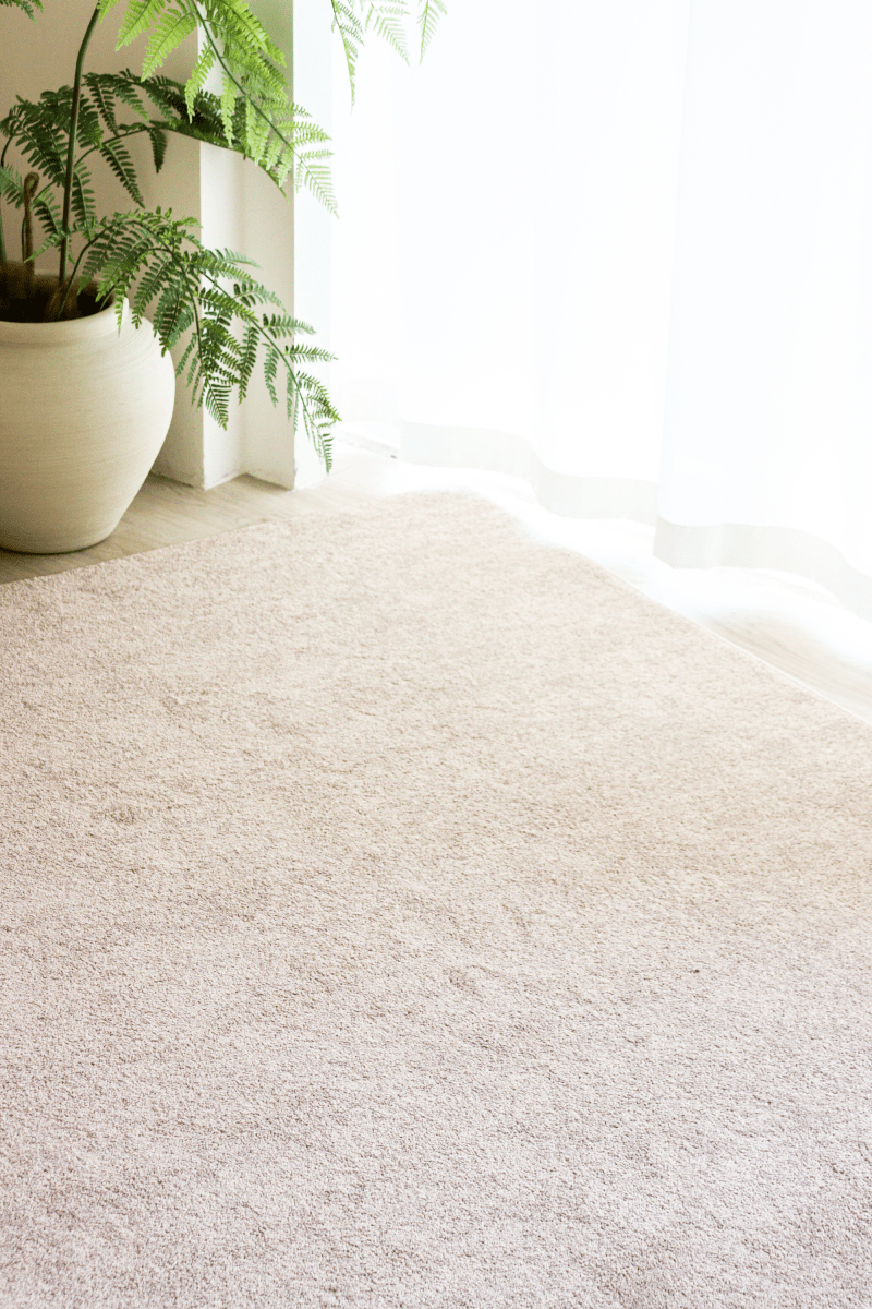 Champagne Taupe Carpet | Timeless Essentials Series - The Carpetier™