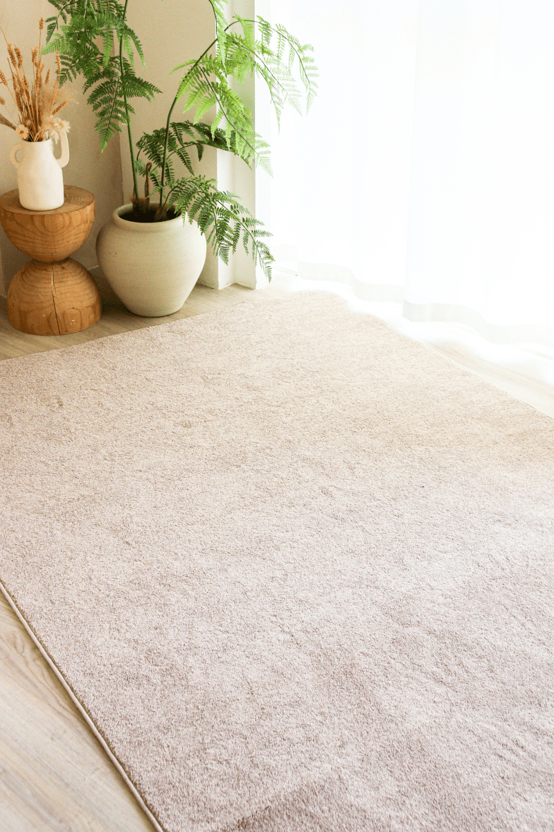 Champagne Taupe Carpet | Timeless Essentials Series - The Carpetier™