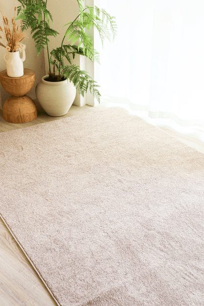Champagne Taupe Carpet | Timeless Essentials Series - The Carpetier™