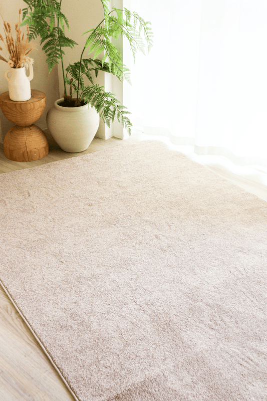 Champagne Taupe Carpet | Timeless Essentials Series - The Carpetier™
