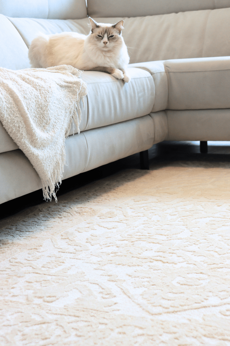 Cream Imperial Carpet | Wilton Dyed Series - The Carpetier™