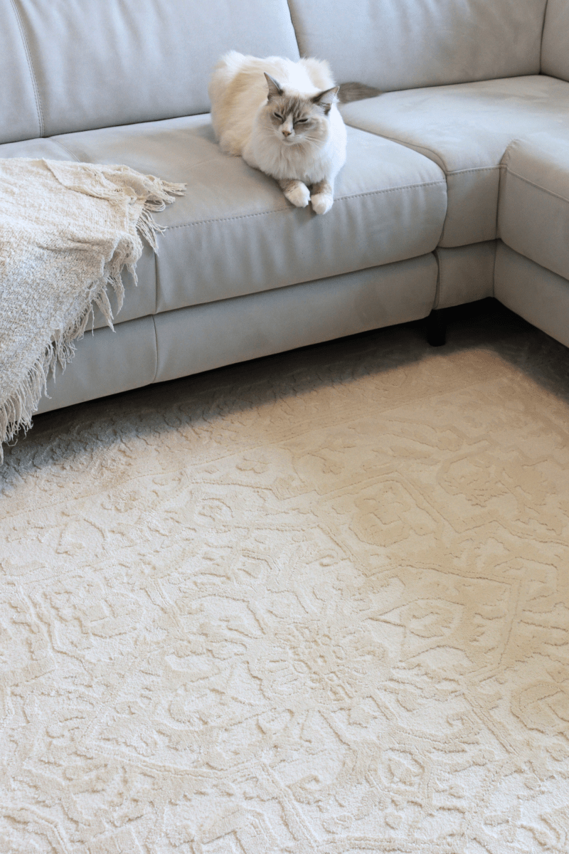 Cream Imperial Carpet | Wilton Dyed Series - The Carpetier™