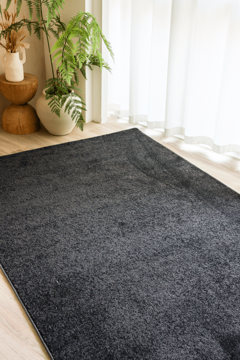 Deep Grey Carpet | Timeless Essentials Series - The Carpetier™