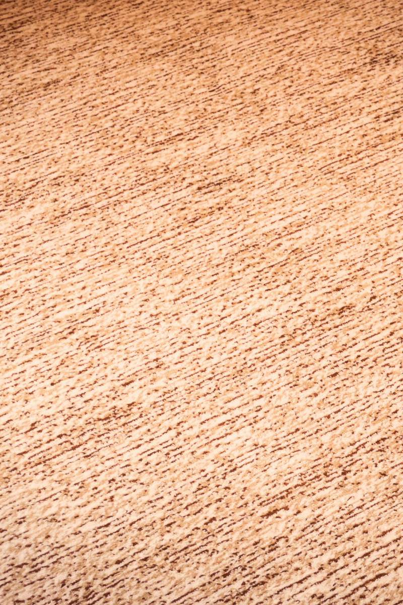 Neutral Harmony Carpet | Wilton Dyed Series - The Carpetier™