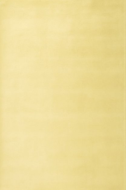 Pale Daffodil | 100% TENCEL™ Handloomed - The Carpetier™