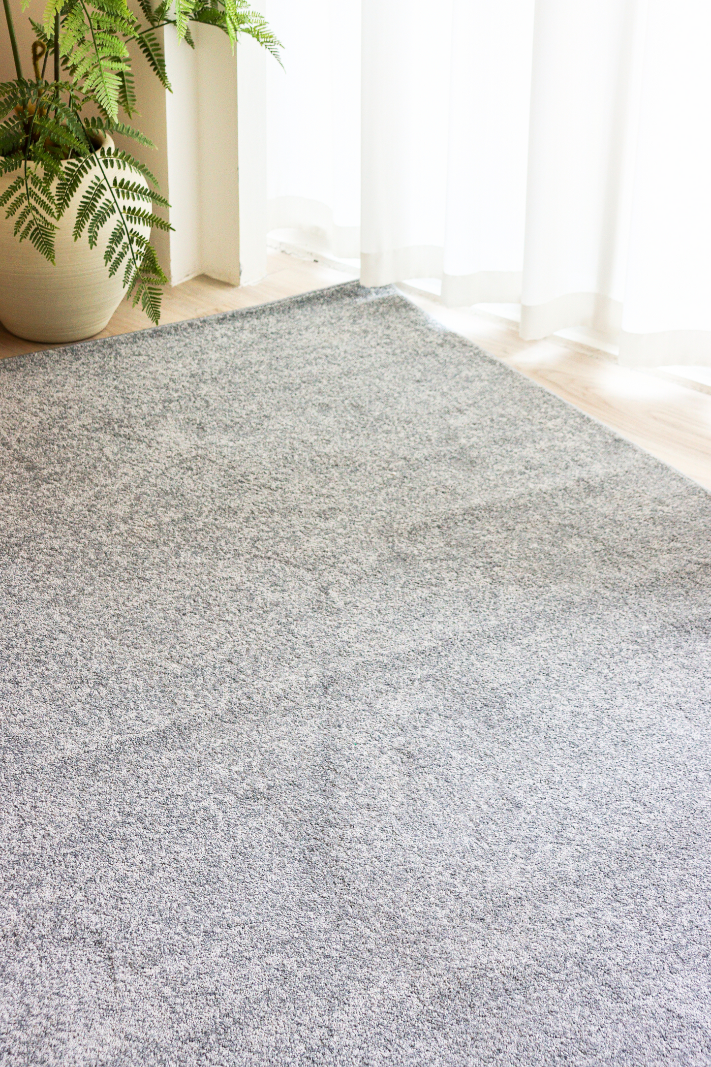 Slate Grey Carpet | Timeless Essentials Series