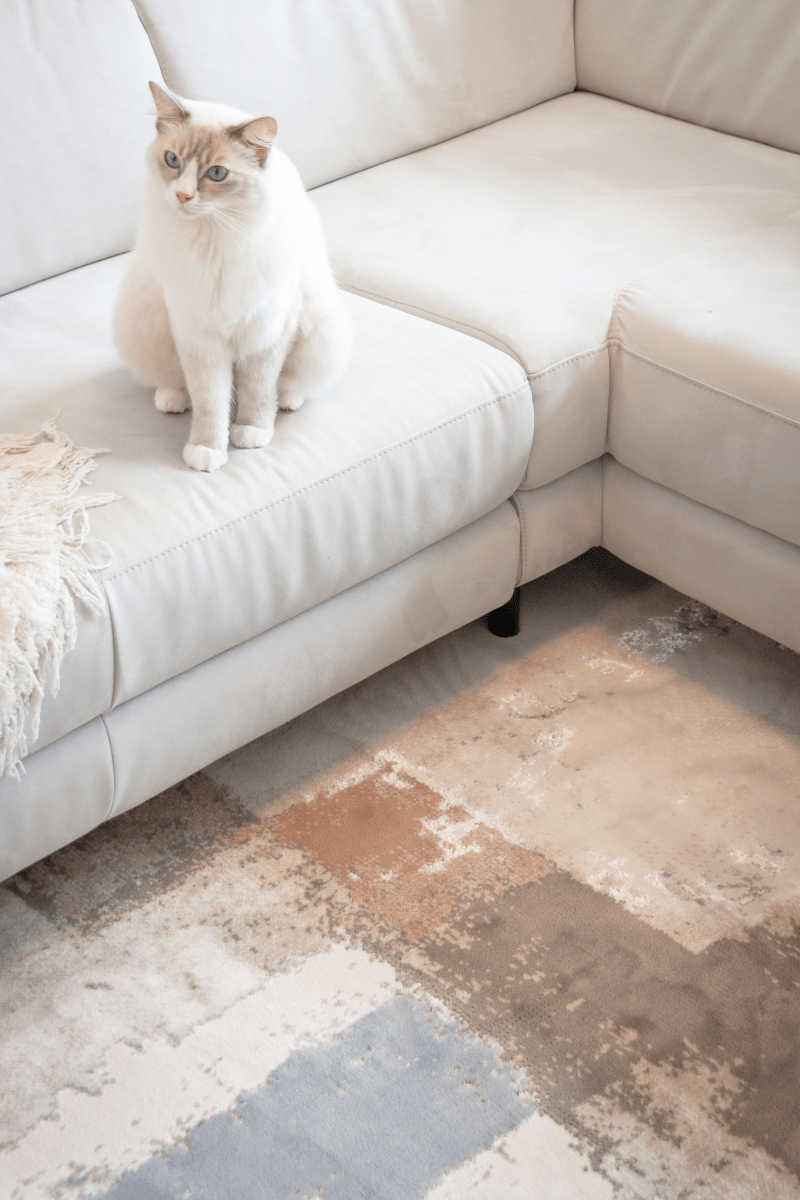 Timeless Canvas Luxury Carpet | Carlton Modern Series - The Carpetier™